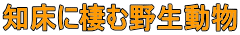 �m���ɐ��ޖ쐶���� 