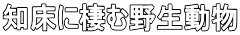 �m���ɐ��ޖ쐶����
